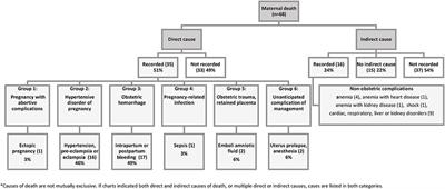 Quality of Maternal Death Documentation in Afghanistan: A Retrospective Health Facility Record Review